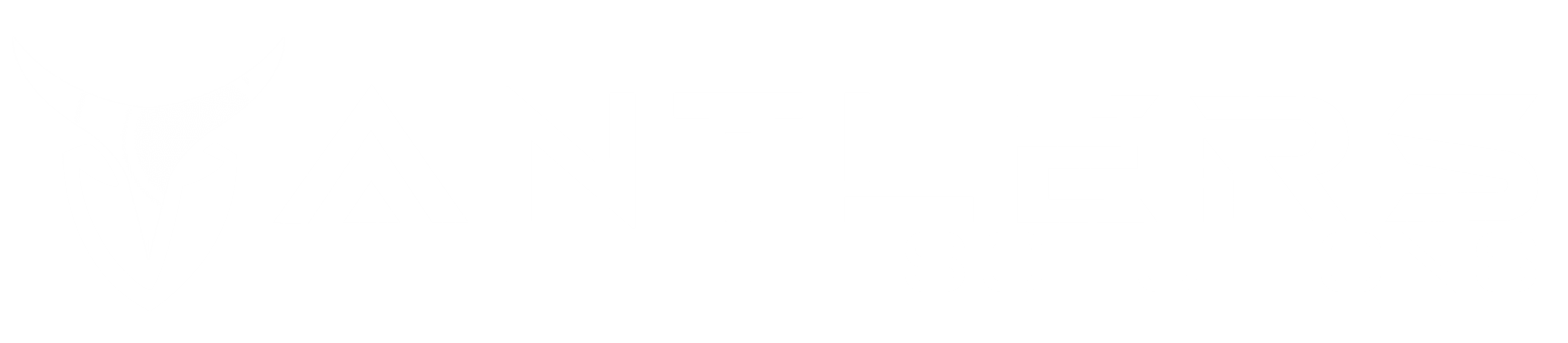 Antlers Solutions